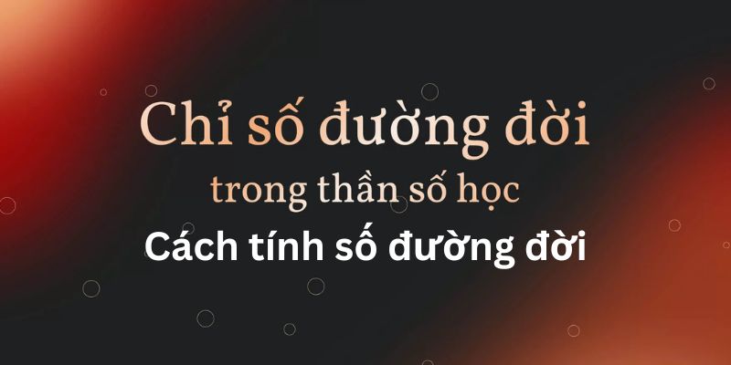 Công thức cách tính số đường đời nhanh gọn chính xác