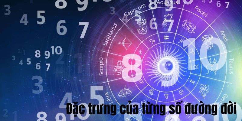 Các con số đường đời nói gì về bạn?