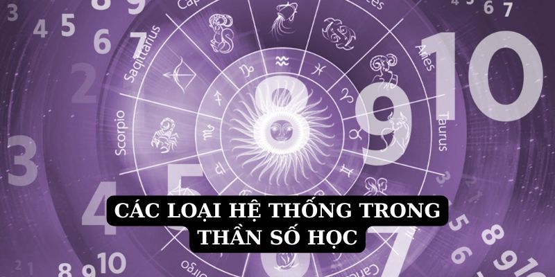 Các loại hệ thống thường dùng