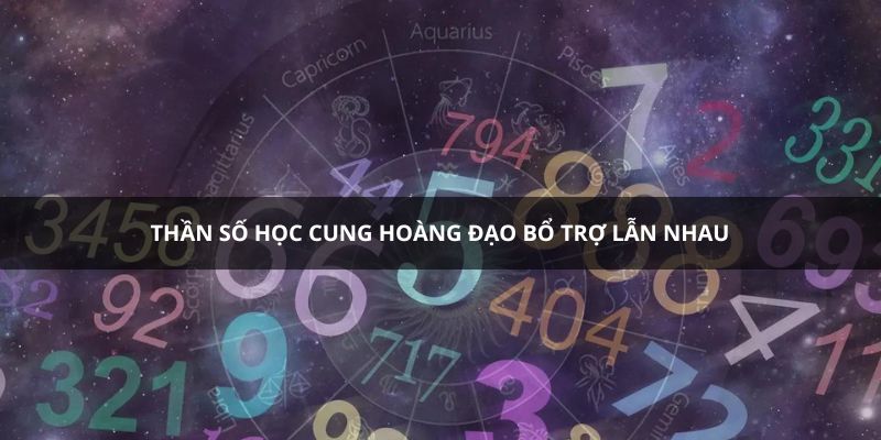 Thần số học cung hoàng đạo hoàn thiện lẫn nhau