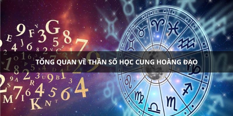 Tổng quan chung về thần số học cung hoàng đạo